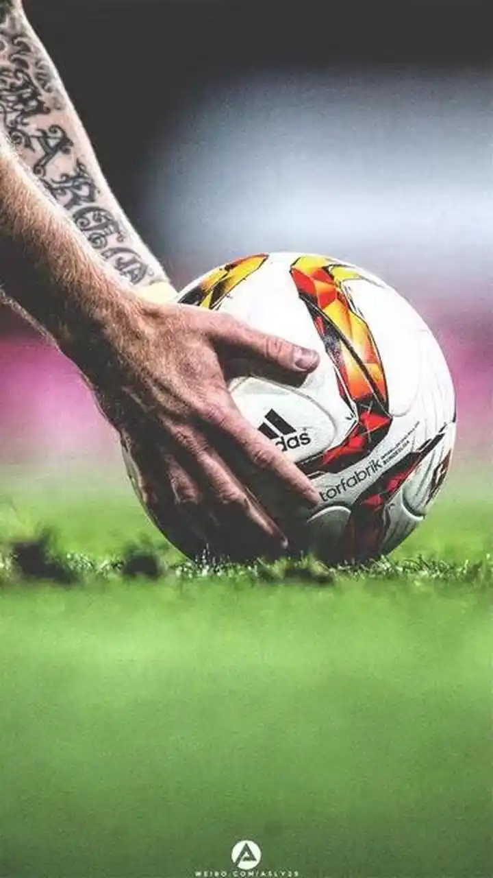 不仅意味着 不仅意味着